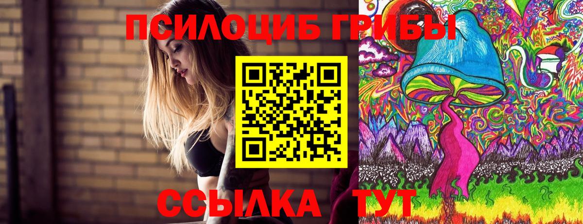 Галлюциногенные грибы Magic Shrooms  Вход с VPN  Галлюциногенные грибы MAGIC MUSHROOMS  Чапаевск 